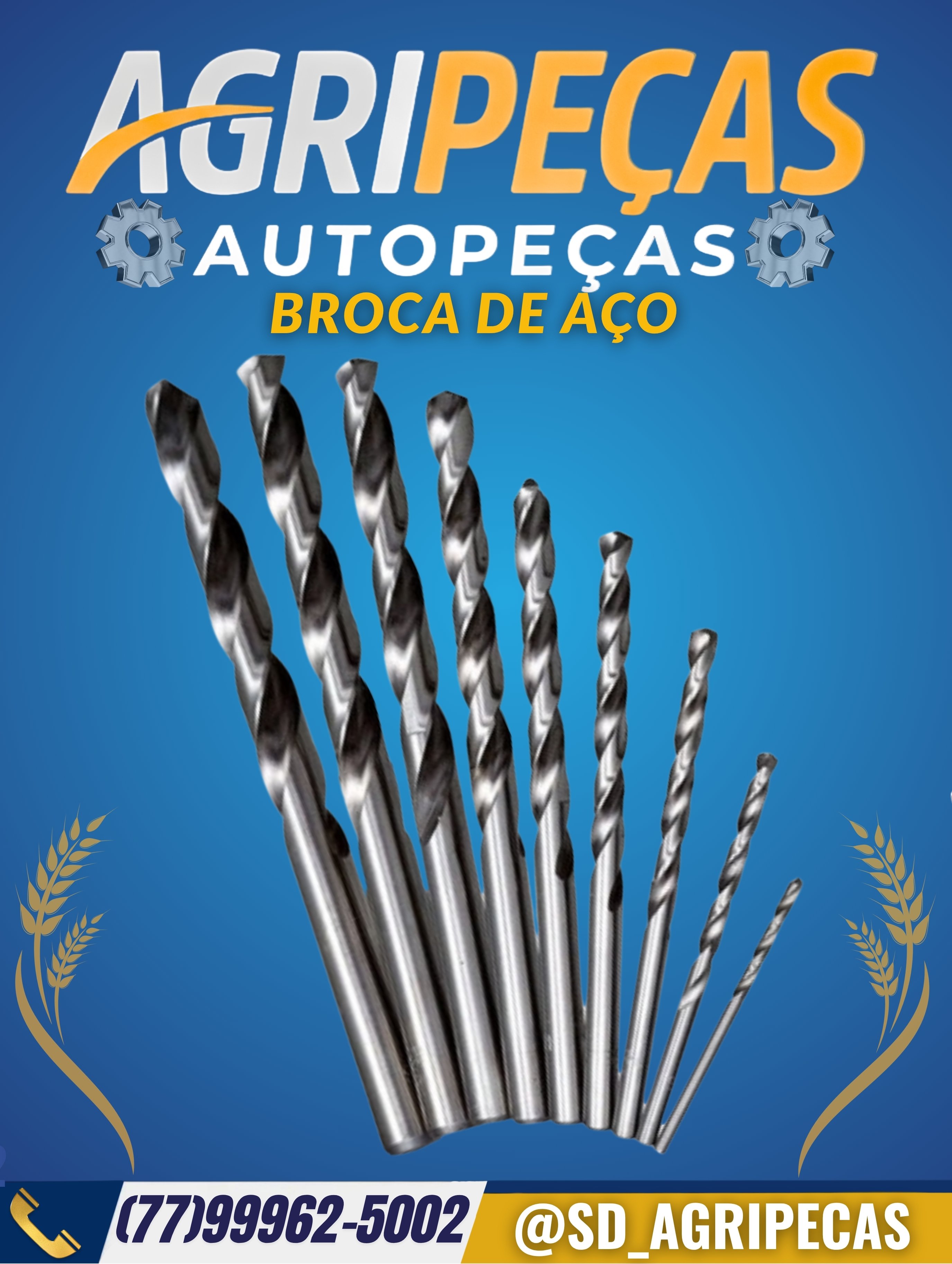 BROCA DE AÇO
